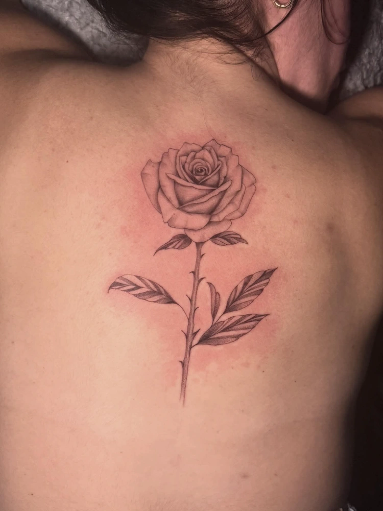 Yayo Fine Line work 2
